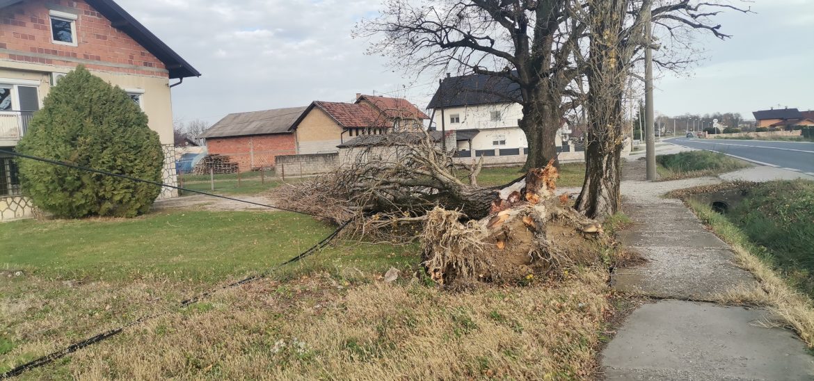 Vjetar u Brčko distriktu radi velike probleme