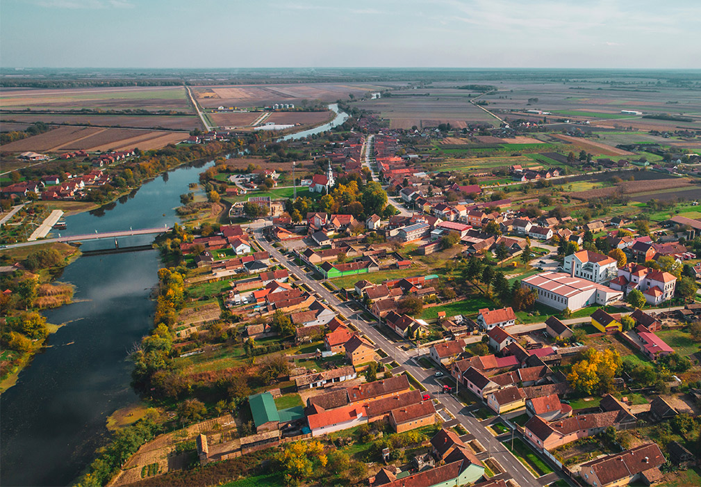 U Slavoniji ponovno Afrička svinjska kuga.Eutanazirano stotinjak svinja